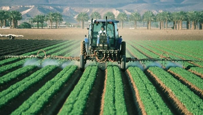 Cuáles son los Requisitos para Cobrar la Renta Agraria en España